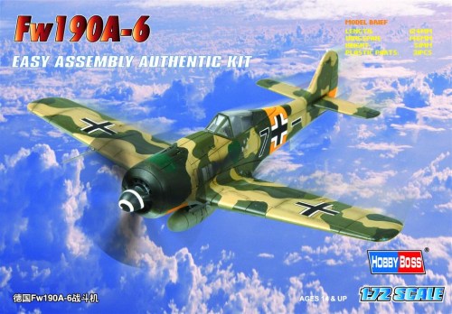 Fw 190A-6 by Hobby Boss